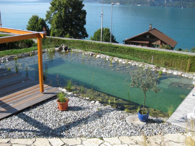 Schwimmteich